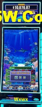 Football Betting Wxwx